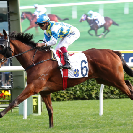 農曆新年賽馬日即將於下週一大年初三（2月12日）在沙田馬場拉開帷幕