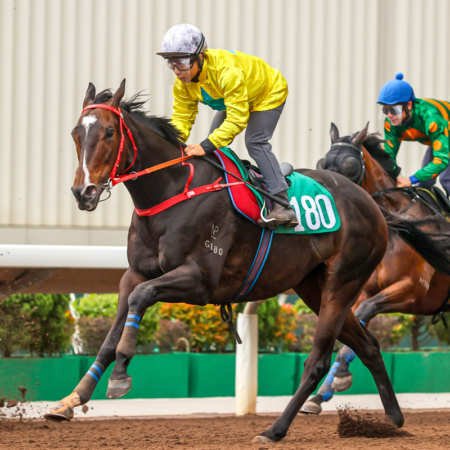 沈集成馬房「超超比」領先星展與宏利百萬挑戰盃積分榜