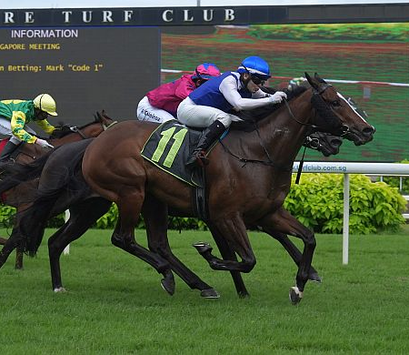 新加坡賭場賽馬賽事回顧及馬金的勝利