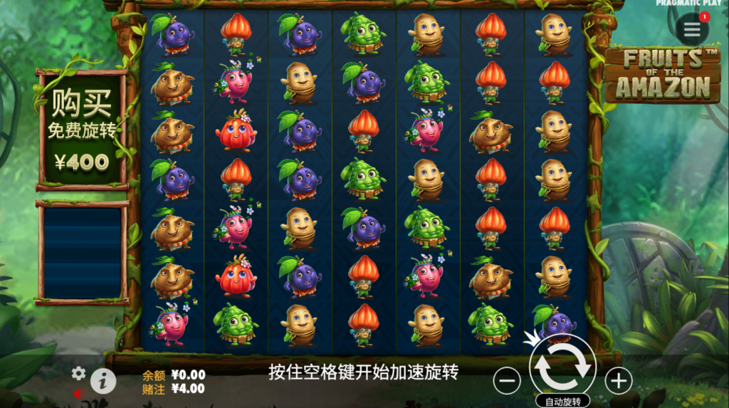 亞馬遜果實