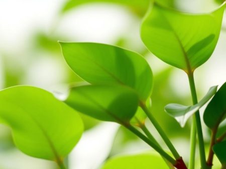 如何在連贏及位置q點計中取得成功？